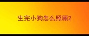 生完小狗怎么照顾