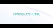 拉布拉多犬怎么防疫