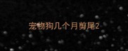 宠物狗几个月剪尾