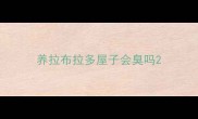 养拉布拉多屋子会臭吗