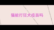 猫能打狂犬疫苗吗