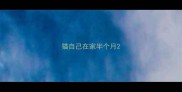 猫自己在家半个月