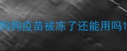 狗狗疫苗被冻了还能用吗