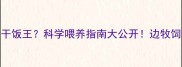 边牧VS拉布拉多谁才是干饭王科学喂养指南大公开边牧饲养拉布拉多饮食狗狗营养学