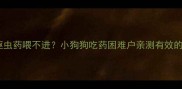 狗狗驱虫药喂不进小狗狗吃药困难户亲测有效的方法