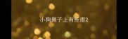 小狗鼻子上有疙瘩