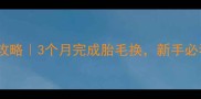 边牧换毛全攻略3个月完成胎毛换新手必看护理指南