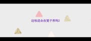 边牧适合在笼子养吗