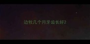 边牧几个月牙齿长好
