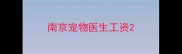 南京宠物医生工资