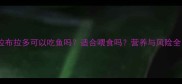 拉布拉多可以吃鱼吗适合喂食吗营养与风险全