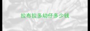 拉布拉多幼仔多少钱