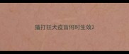 猫打狂犬疫苗何时生效