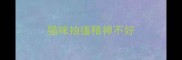 猫咪抽搐精神不好
