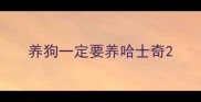 养狗一定要养哈士奇