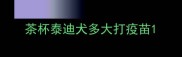 茶杯泰迪犬多大打疫苗