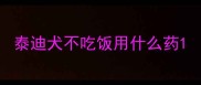 泰迪犬不吃饭用什么药
