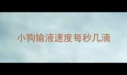 小狗输液速度每秒几滴