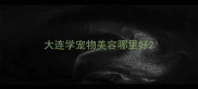 大连学宠物美容哪里好