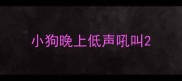 小狗晚上低声吼叫