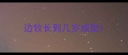边牧长到几岁成型