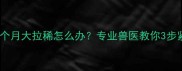 泰迪幼犬一个月大拉稀怎么办专业兽医教你3步紧急处理法