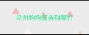 常州狗狗疫苗到哪打