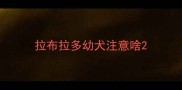 拉布拉多幼犬注意啥