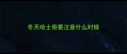 冬天哈士奇要注意什么时候