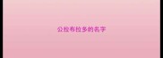 公拉布拉多的名字