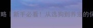 拉布拉多全攻略新手必看从选狗到养宠的保姆级指南