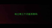 哈士奇三个月能养熟吗
