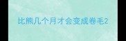 比熊几个月才会变成卷毛
