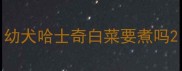 幼犬哈士奇白菜要煮吗