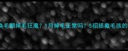 哈士奇换毛期掉毛狂魔1月掉毛正常吗5招拯救毛孩的冬季困扰