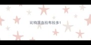 比特混血拉布拉多