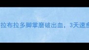 紧急处理拉布拉多脚掌磨破出血3天速愈全攻略