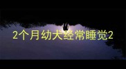 2个月幼犬经常睡觉