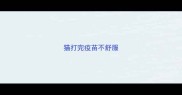 猫打完疫苗不舒服