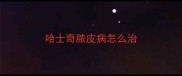 哈士奇脓皮病怎么治