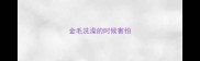 金毛洗澡的时候害怕