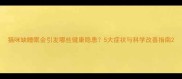猫咪缺睡眠会引发哪些健康隐患5大症状与科学改善指南
