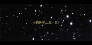 小狗鼻子上起小包