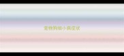 宠物狗细小病症状