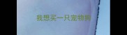 我想买一只宠物狗