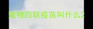 宠物四联疫苗叫什么
