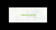 小狗每次吃完打嗝