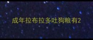 成年拉布拉多吐狗粮有