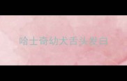 哈士奇幼犬舌头发白
