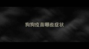 狗狗疫苗哪些症状